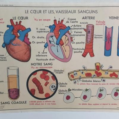 0 affiche 1