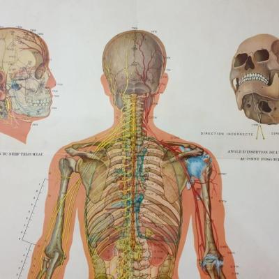 0 affiche acupuncture 4
