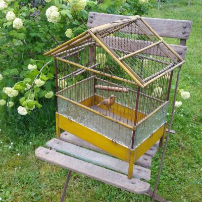 0 cage a oiseau