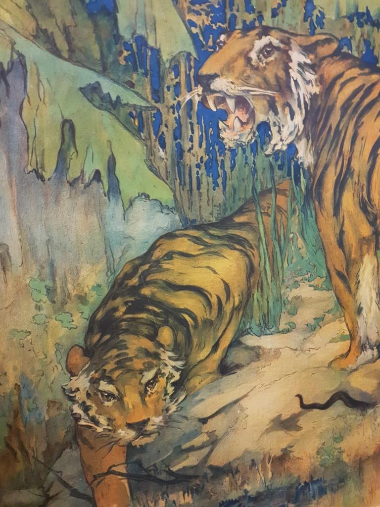 01 tableau scolaire les tigres