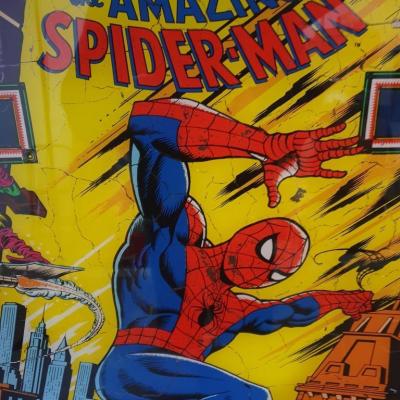 01 vitre de flipper spider man