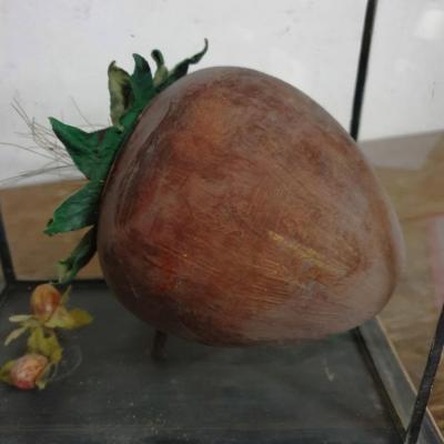 02 vitrine de curiosite noisette