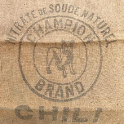 02874 l 2 sac en toile champion