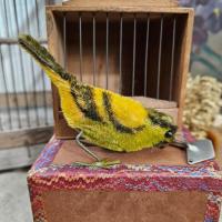 04 oiseau mecanique et sa cage