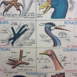 Affiche d'école
