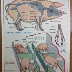 Affiche d'école