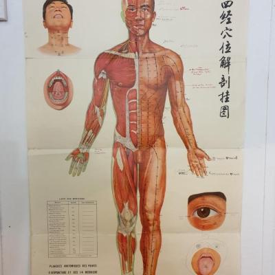 1 affiche acupuncture n 1