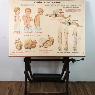 1 affiche anatomie 14