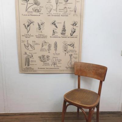 1 affiche carte scolaire a hatier la feuille la fleurs 1