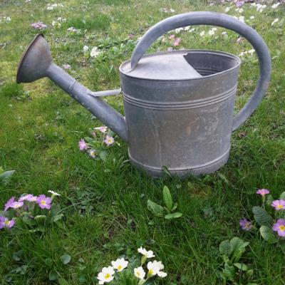1 arrosoir en zinc
