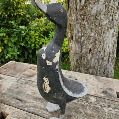 Canard de jardin