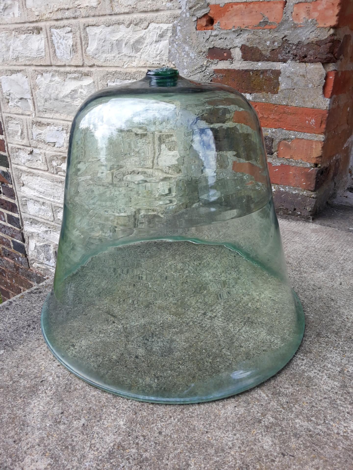 1 cloche de jardin