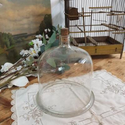 1 cloche en verre 1