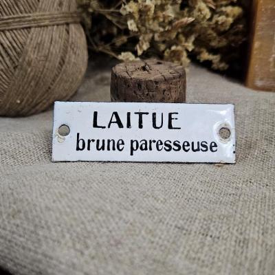 1 laitue brune paresseuse