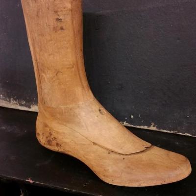 1 pied de cordonnier