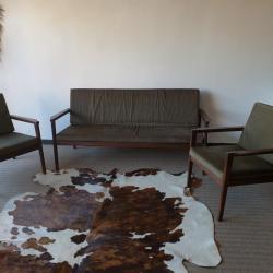 Salon scandinave