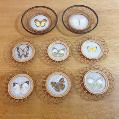 1 sous verres papillons