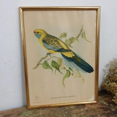 1 tableau oiseau jaune