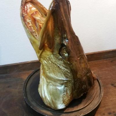 1 tete de brochet