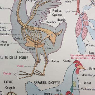 2 affiche 5