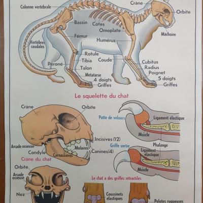 2 affiche 7