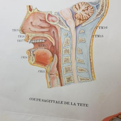 2 affiche acupuncture 2