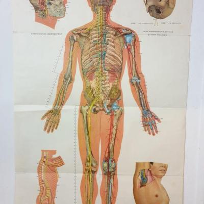 2 affiche acupuncture 4