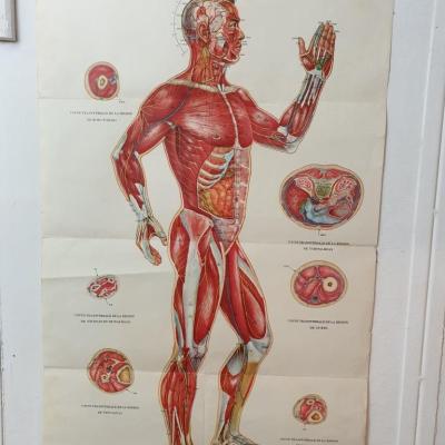 2 affiche acupuncture 6