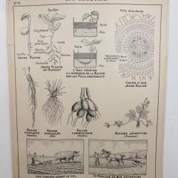Affiche pédagogique Hatier