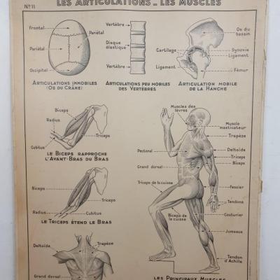 Affiche pédagogique Hatier