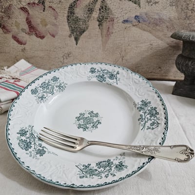 2 assiettes creuses tdf