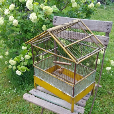 2 cage a oiseau