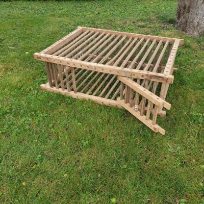 2 cage a poule