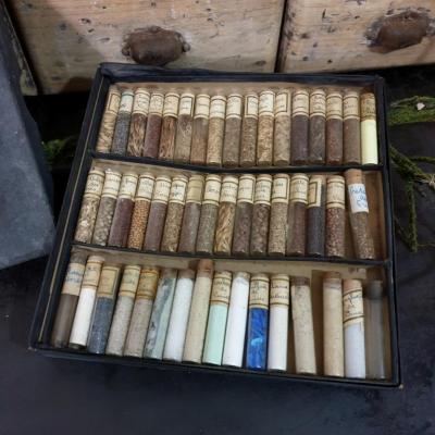 2 graines anciennes collection