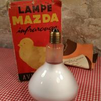 2 lampe de couveuse infrarouge