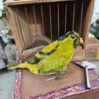 2 oiseau mecanique et sa cage