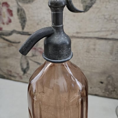 2 siphon rose
