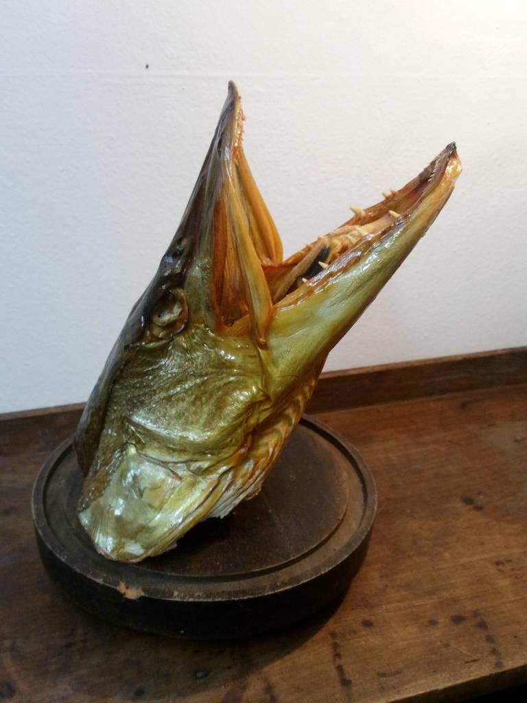 2 tete de brochet