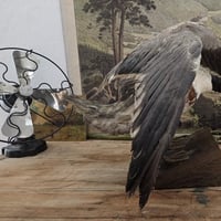 20260713 153411