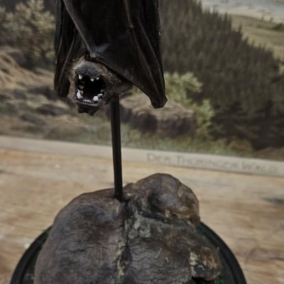 20260713 173110