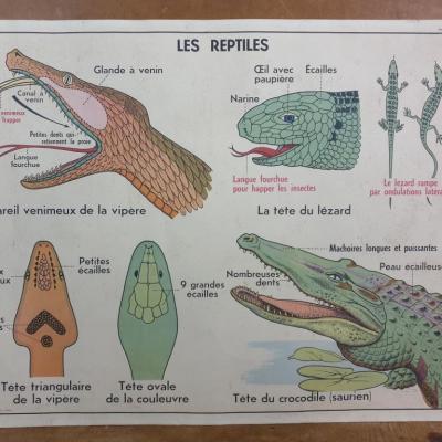 3 affiche 5