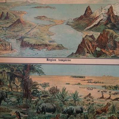 3 affiche scolaire geographie