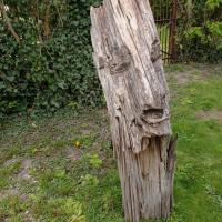 4 sculpture tronc d arbre