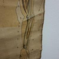 5 affiche ecorche entoile