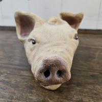 5 marionette cochon