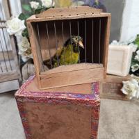 6 oiseau mecanique et sa cage