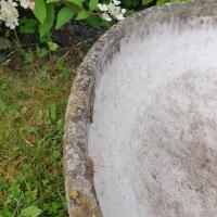7 jardiniere willy guhl vasque