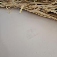 9 commode rose poudre