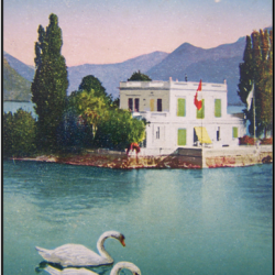 Carte Postale Ancienne Suisse du Lac Leman