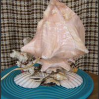 image4-183.png
